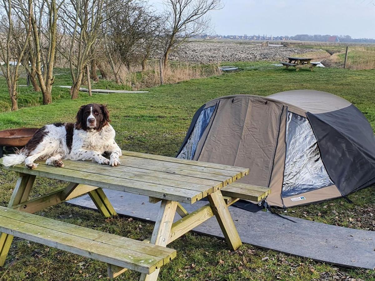 Basic 2P Tent Sotterum Hotel Kornwerd Kültér fotó