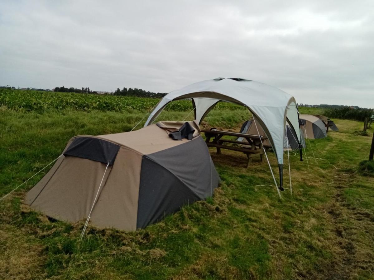 Basic 2P Tent Sotterum Hotel Kornwerd Kültér fotó